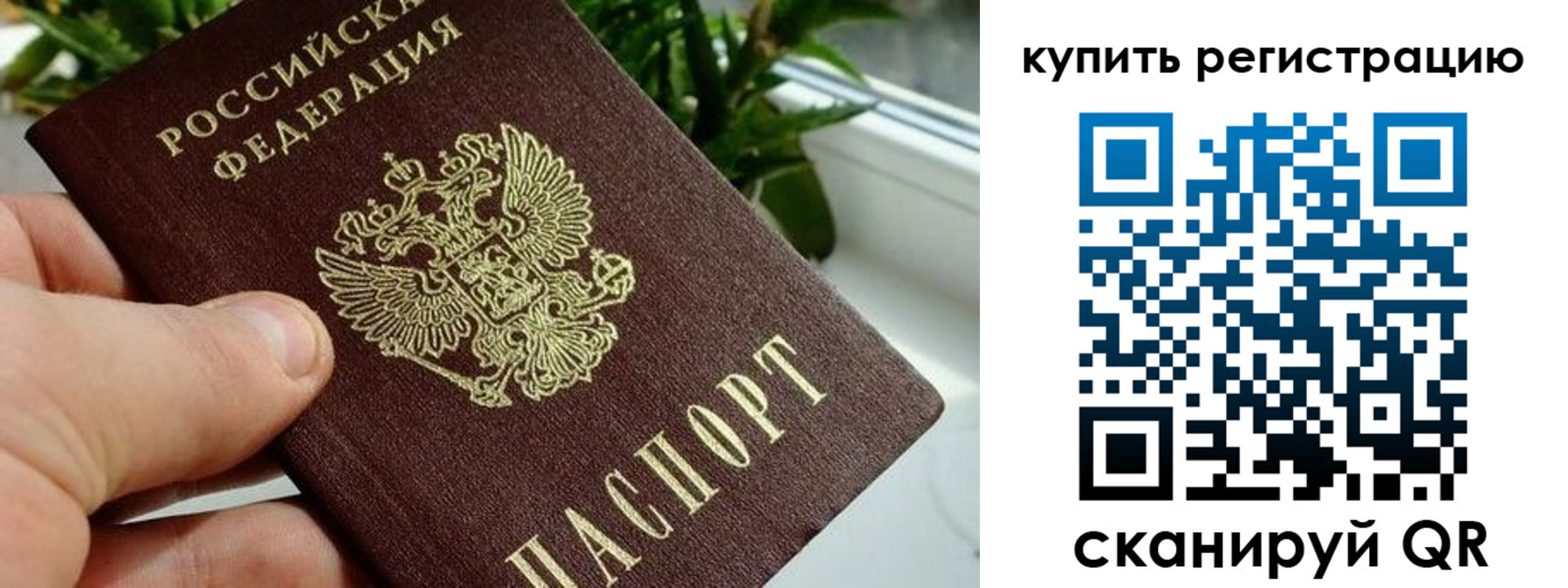 прописка гарантия в Балашихе